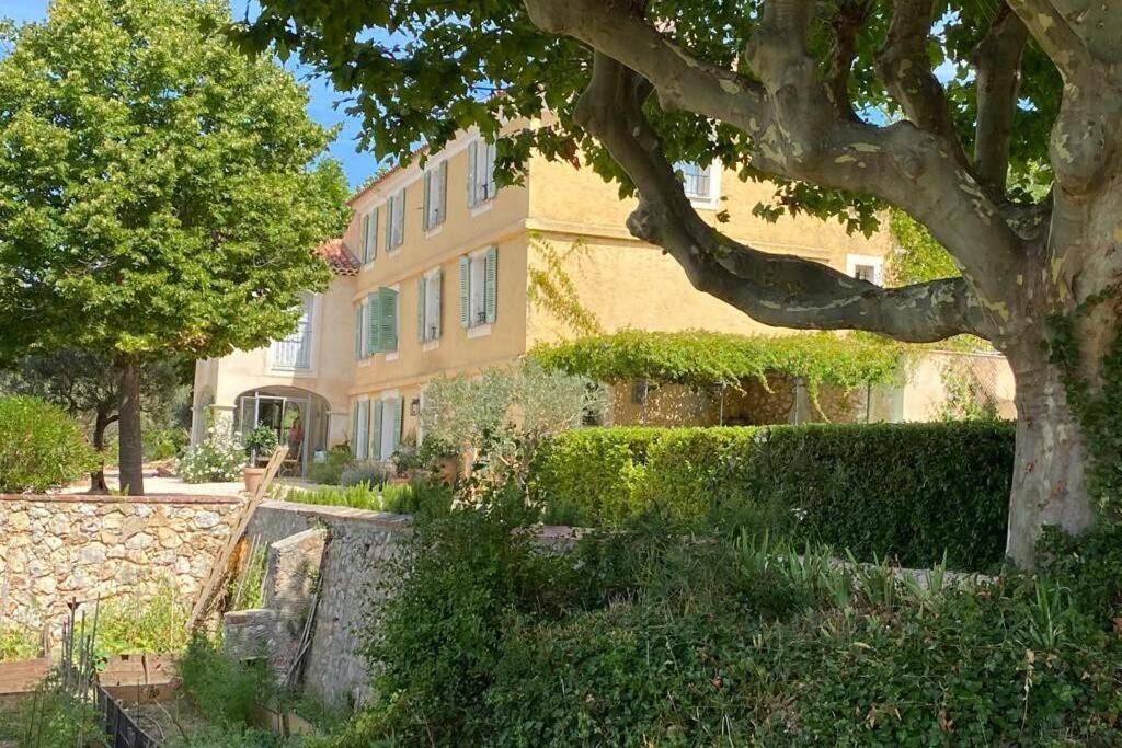 Bastide Au Milieu Des Vignes Et Des Oliviers Aups Villa Dış mekan fotoğraf