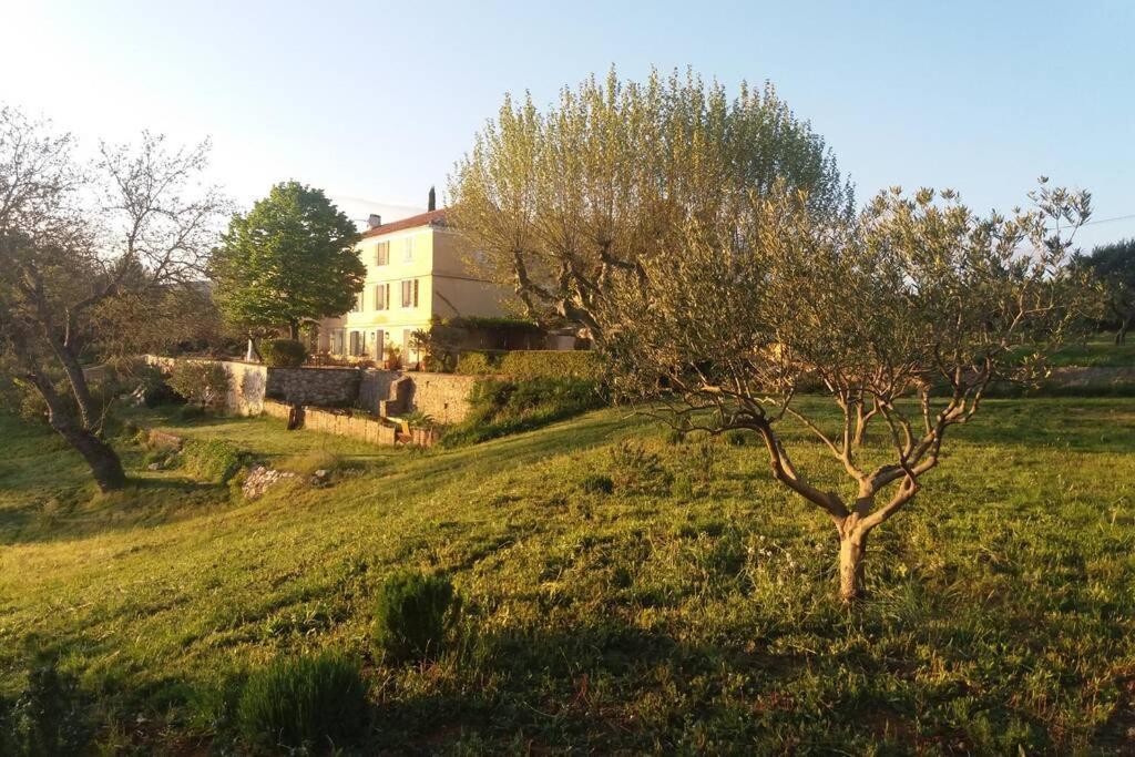Bastide Au Milieu Des Vignes Et Des Oliviers Aups Villa Dış mekan fotoğraf