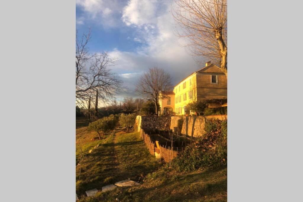 Bastide Au Milieu Des Vignes Et Des Oliviers Aups Villa Dış mekan fotoğraf