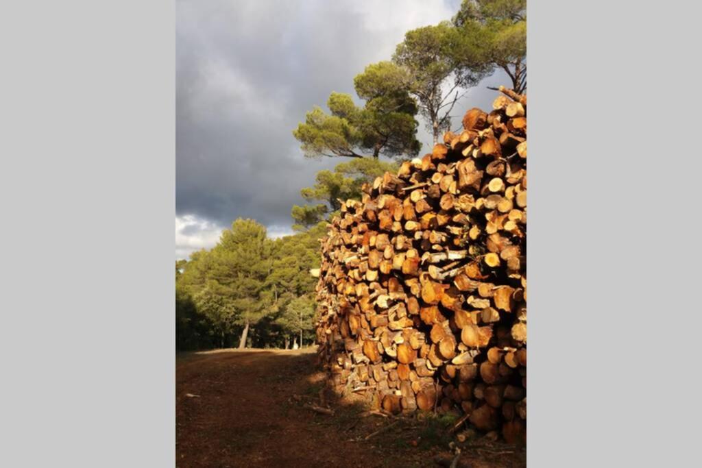 Bastide Au Milieu Des Vignes Et Des Oliviers Aups Villa Dış mekan fotoğraf