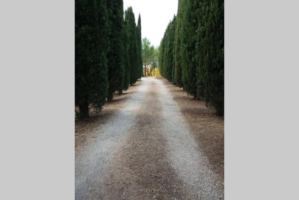Bastide Au Milieu Des Vignes Et Des Oliviers Aups Villa Dış mekan fotoğraf
