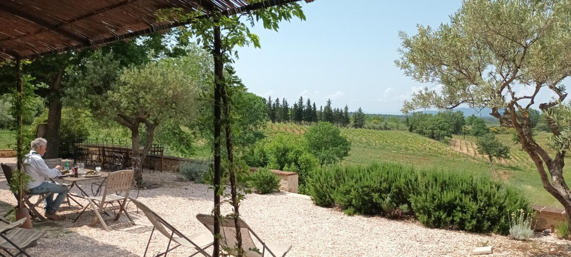 Bastide Au Milieu Des Vignes Et Des Oliviers Aups Villa Dış mekan fotoğraf