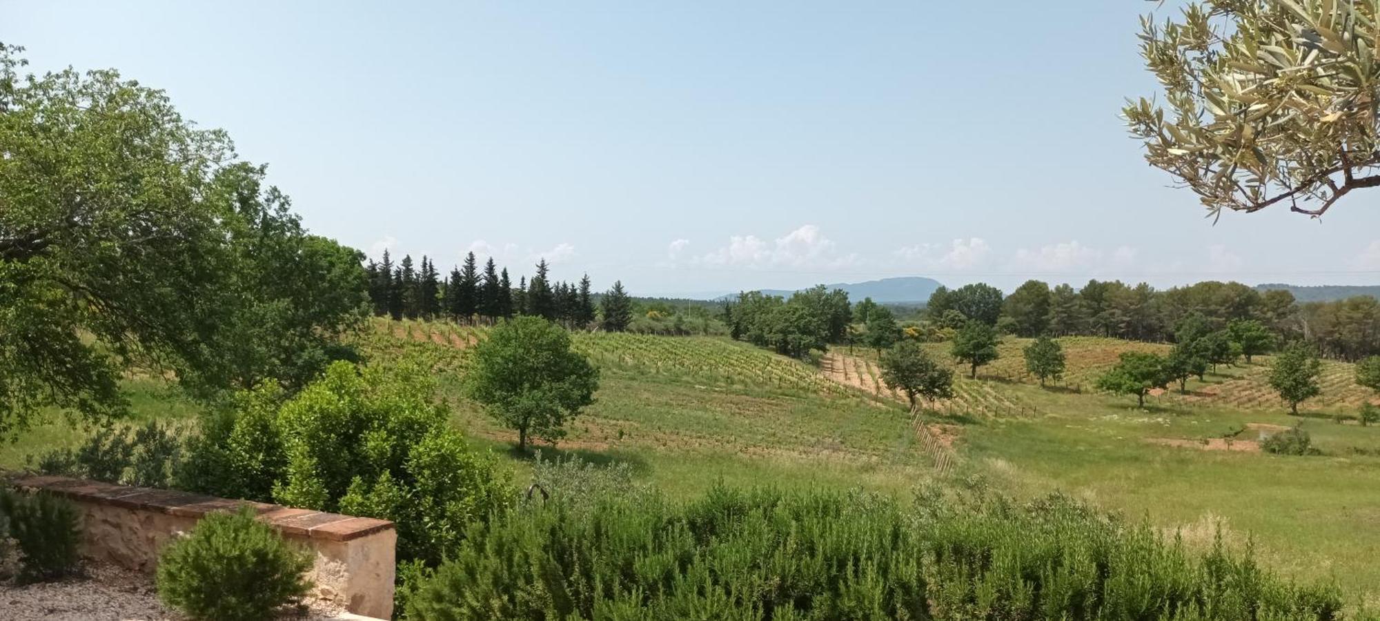 Bastide Au Milieu Des Vignes Et Des Oliviers Aups Villa Dış mekan fotoğraf